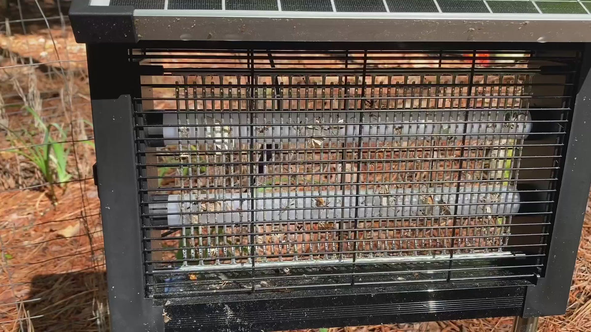 Advanced Solar Bug Zapper